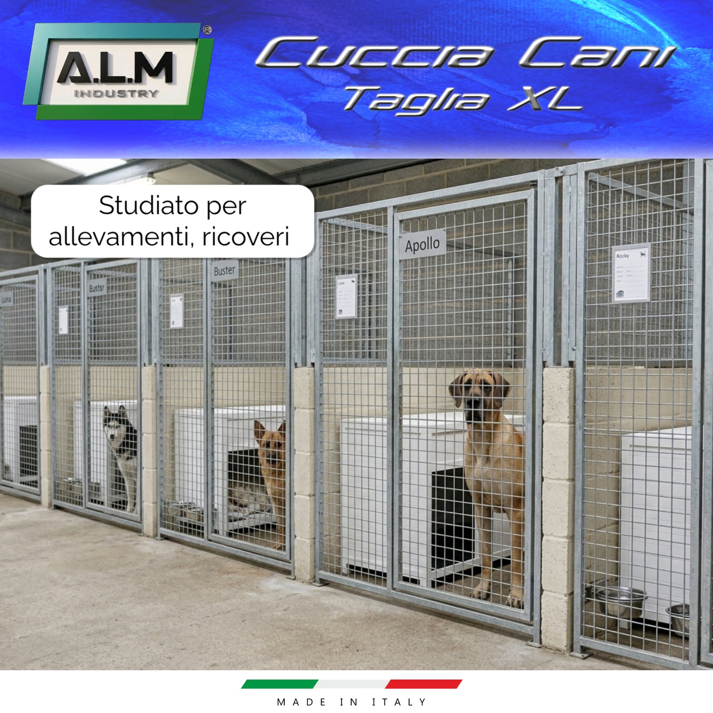 Cuccia XL