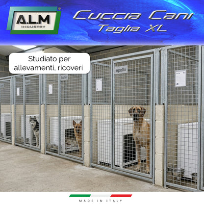 Cuccia XL